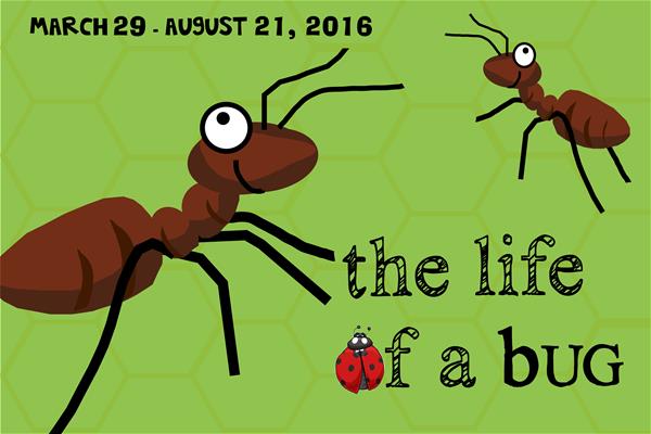 creepy crawlies_thumb.jpg